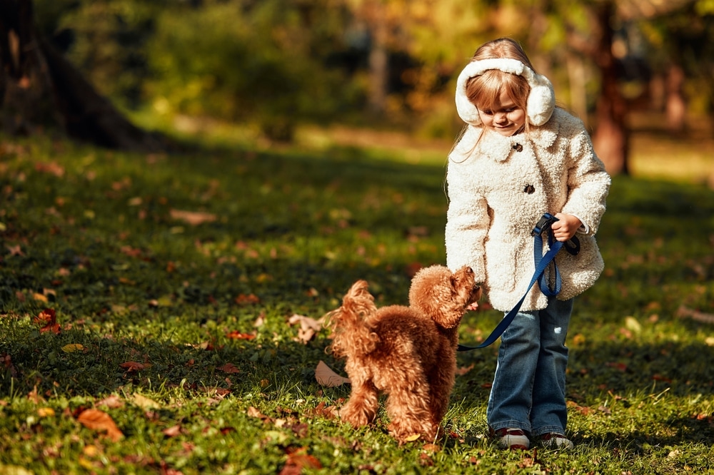 Fotograf Langenberg Die besten Tipps für Kinderfotos